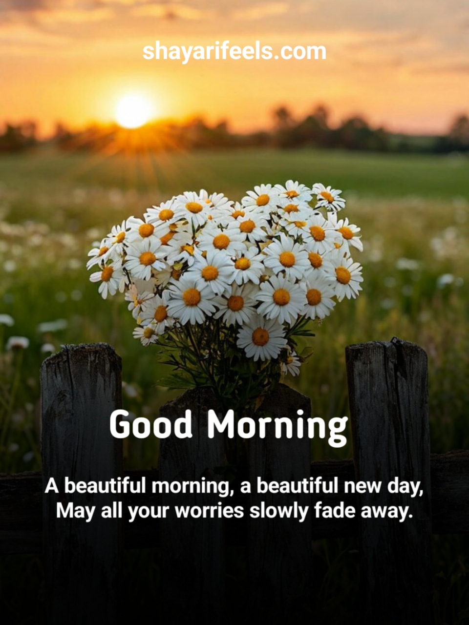 Good Morning Shayari In English