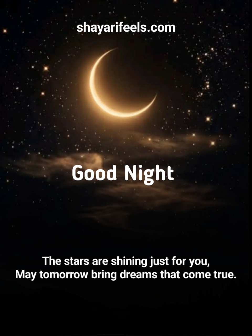 Good Night Shayari In English