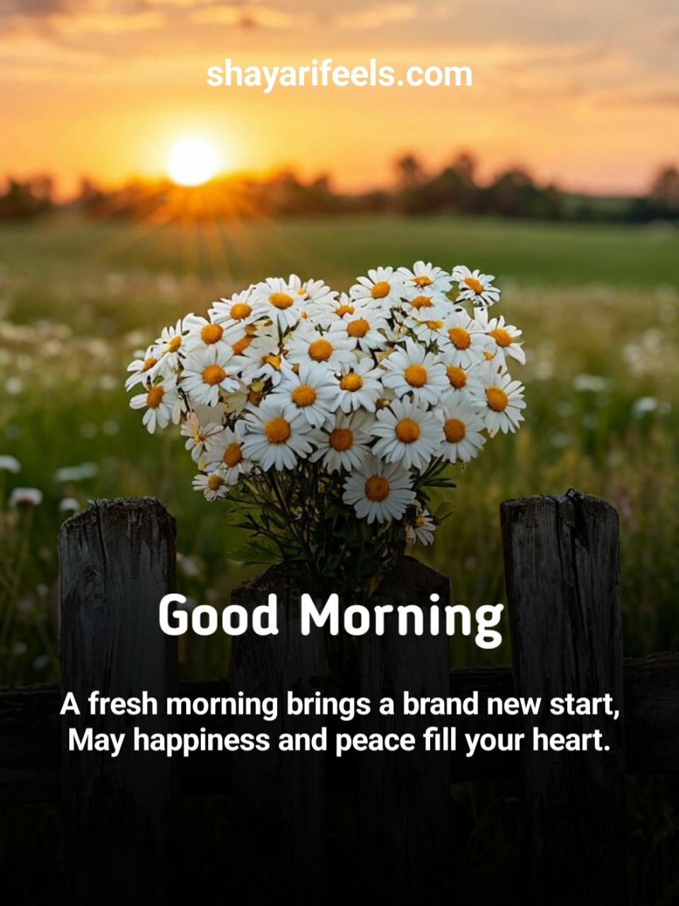Good Morning Shayari In English