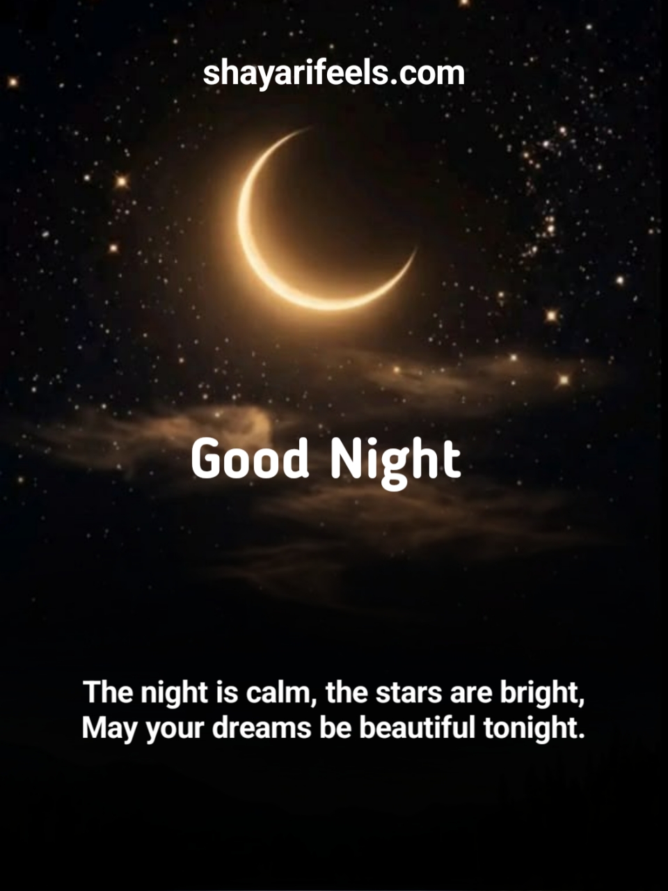 Good Night Shayari In English