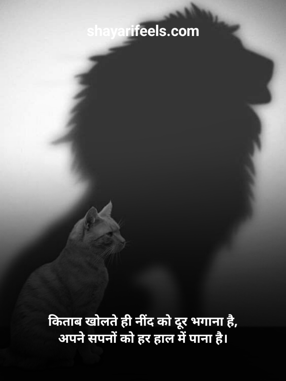 Study Motivation Shayari