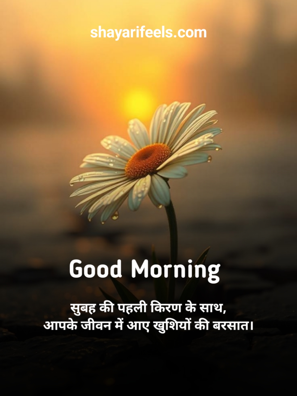 Good Morning In Hindi