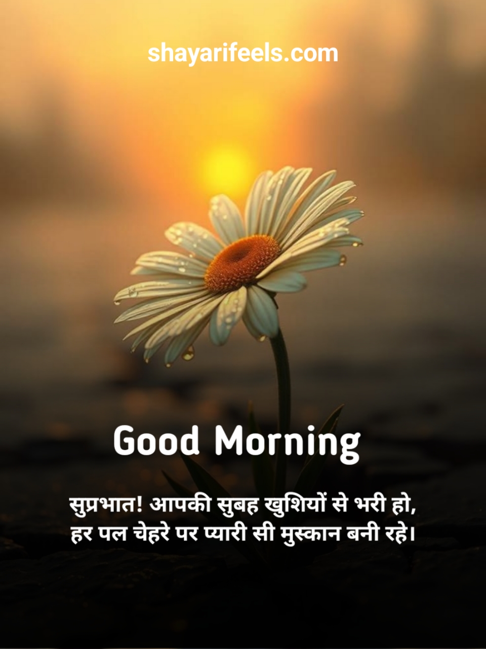 Good Morning In Hindi