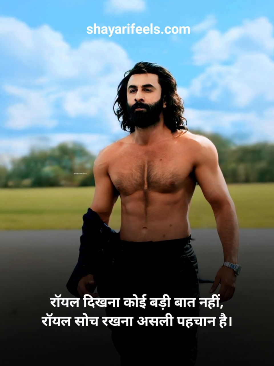 Royal Attitude Shayari In Hindi